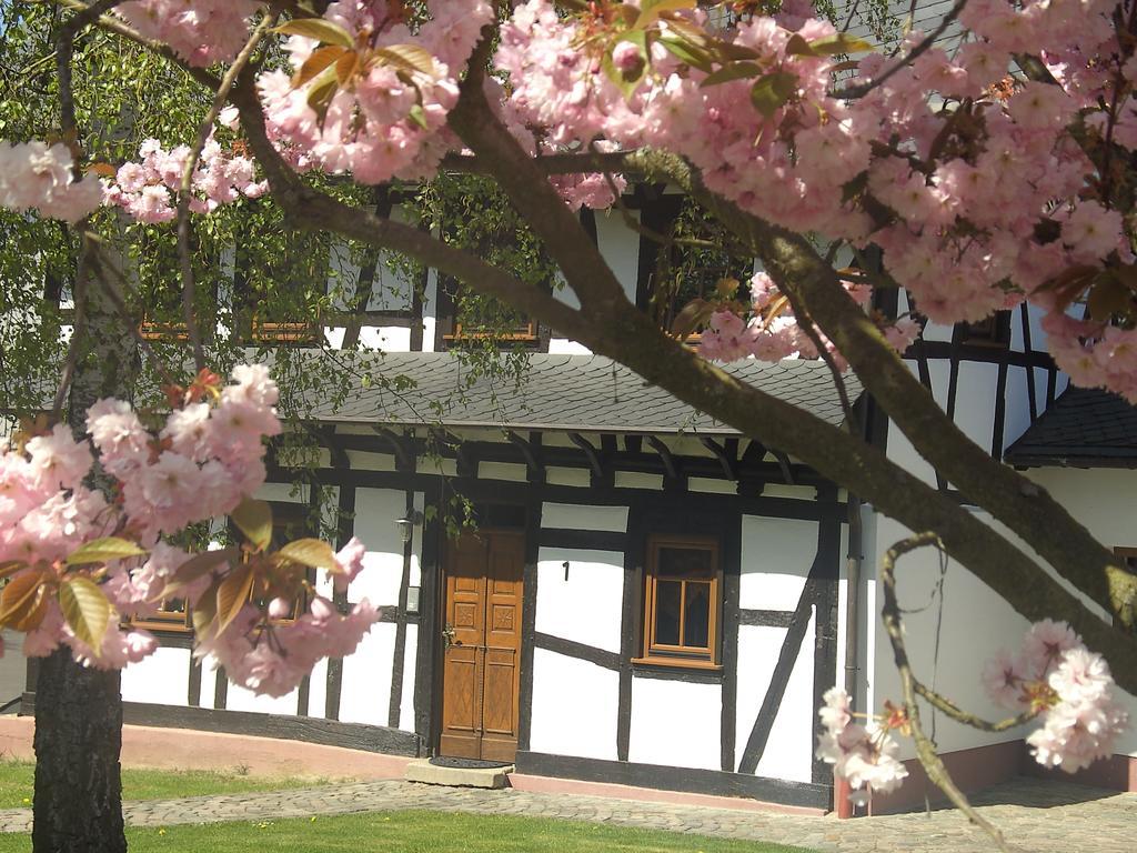 Ferienhaus Schmitt Beltheim Экстерьер фото